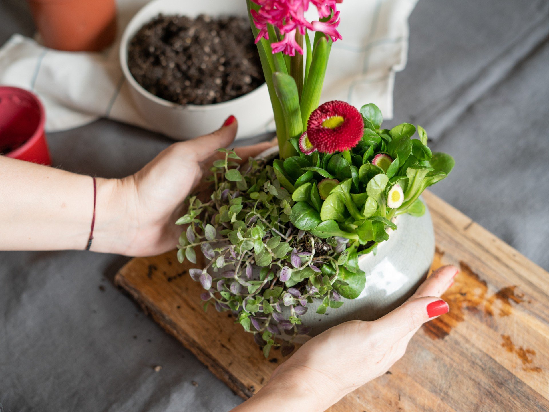 Pavasara dekorācija ar augiem un ziediem