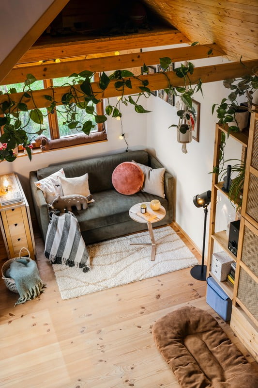 Iedvesma : Dzīvojamā istaba