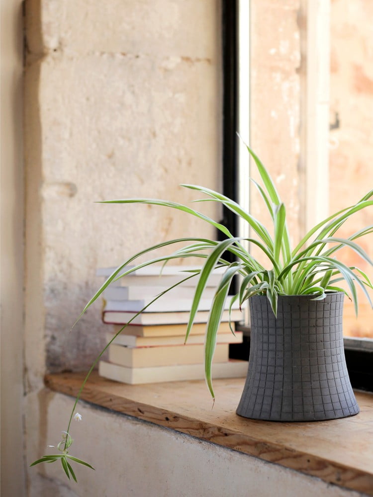 Iedvesma : Industriālais stils, Dekorācijas