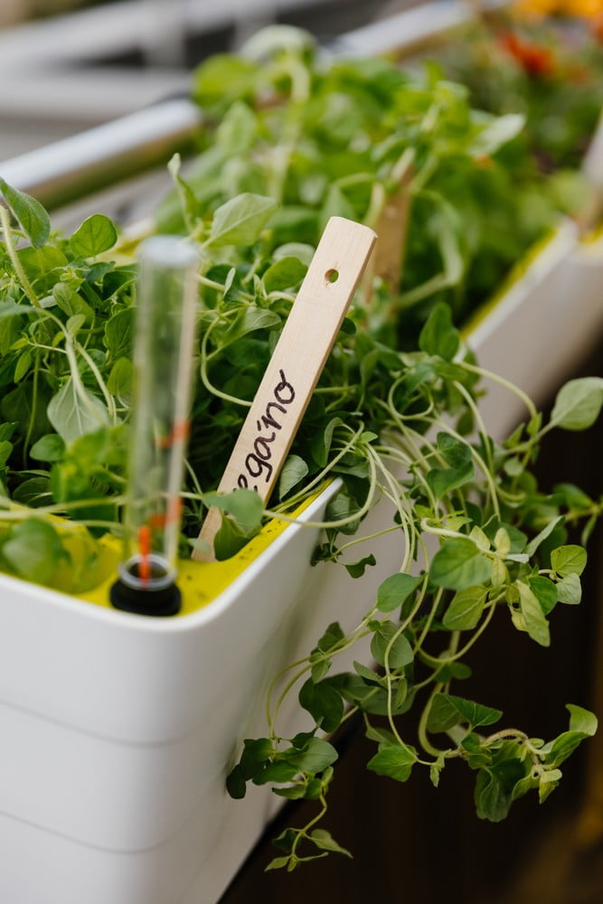 Iedvesma : Balkons un terase