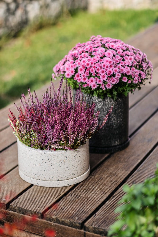 Iedvesma : Dārzs, Balkons un terase, Lauku stils