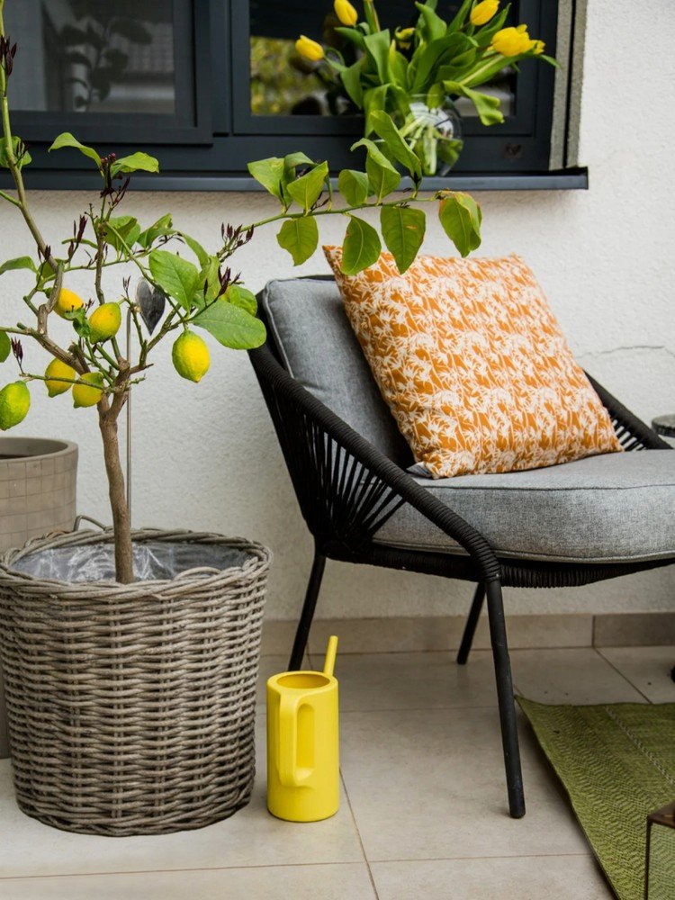 Iedvesma : Balkons un terase, Dārzs