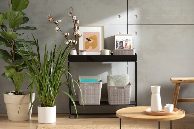 Iedvesma : Dzīvojamā istaba, Tīrīšana un organizēšana