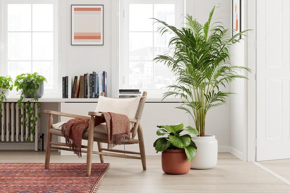 Iedvesma : Dekorācijas