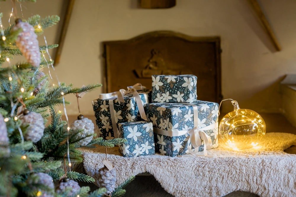 Iedvesma : Ziemassvētki