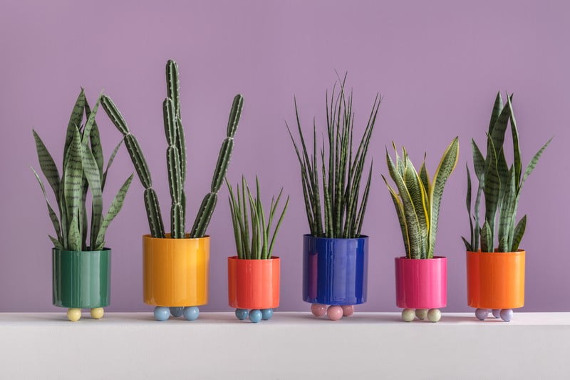 Iedvesma : Dekorācijas