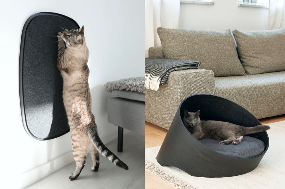 Iedvesma : Mājdzīvnieki