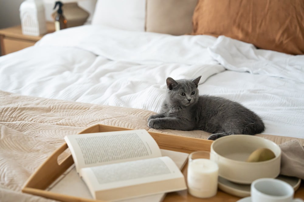 Iedvesma : Guļamistaba, Klasiskais stils, Rudens, Tekstils