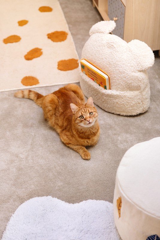 Iedvesma : Bērnu istaba