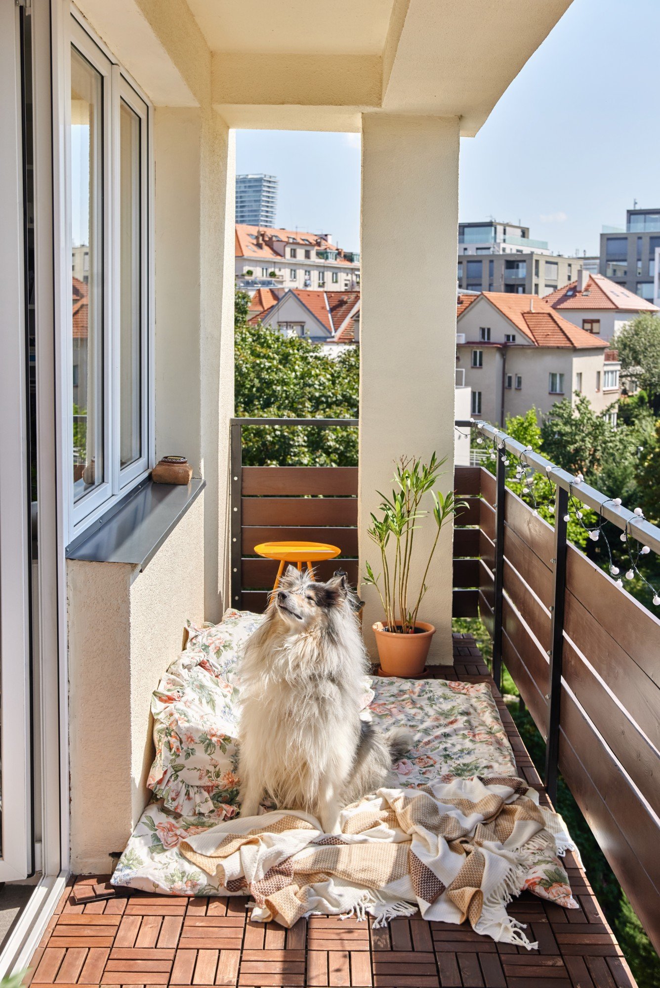 Atpūtas stūrītis, kas būs piemērots arī mājdzīvniekam. Nepieciešams tikai āra matracis, pāris spilvenu un mīksts pleds.