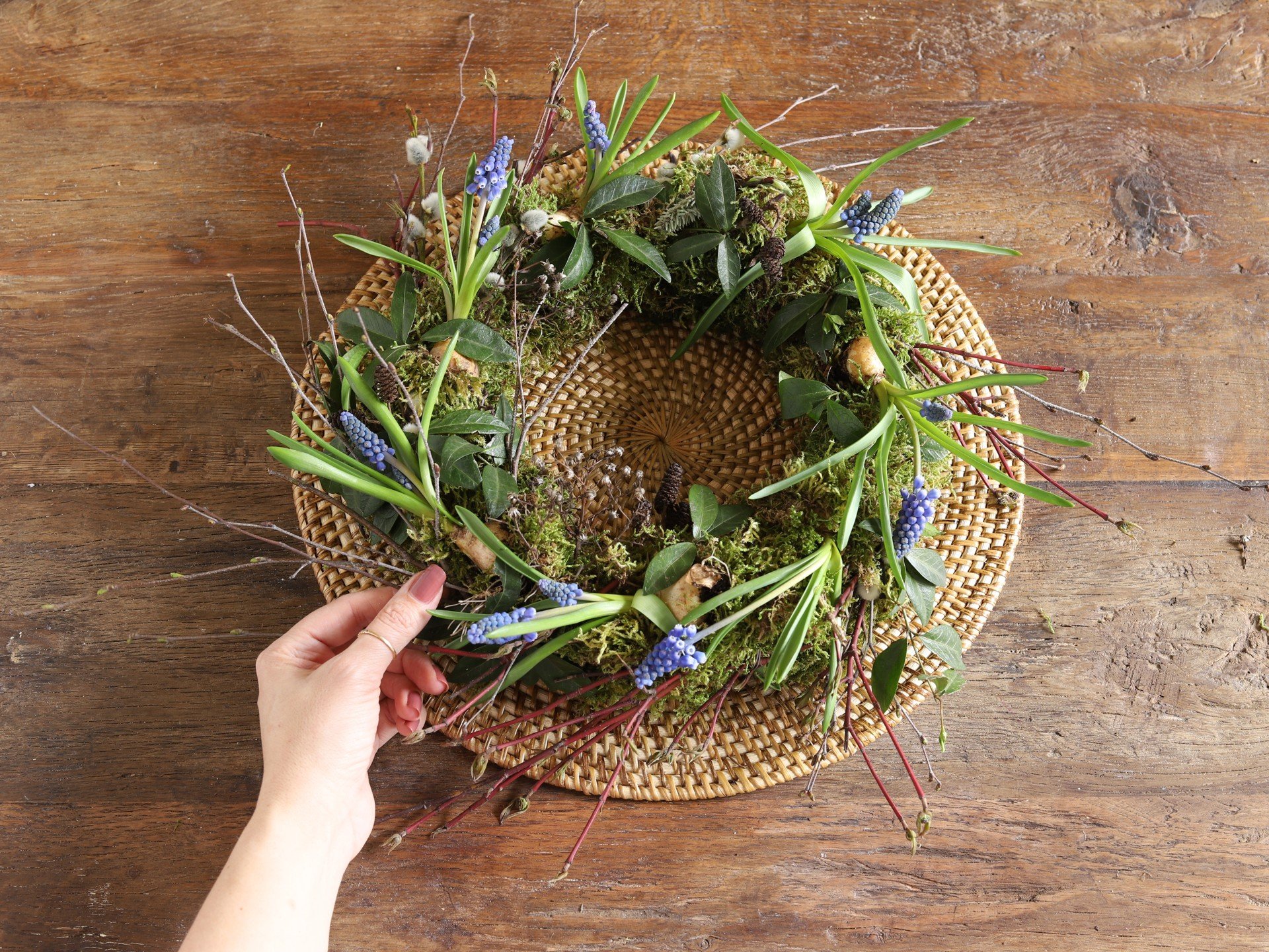 Lieldienu vainags no sūnām, dekorēts ar sīpolu ziediem.