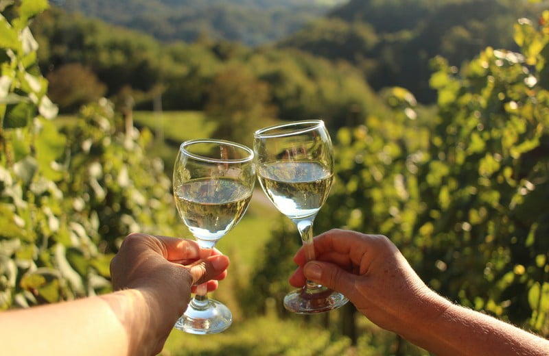 Sabiles Vīna svētki: ko zināt par vīnu?