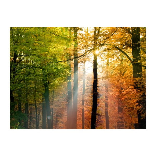 Lielformāta tapetes Artgeist Beautiful Autumn, 400 x 309 cm
