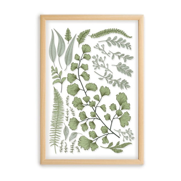 Attēls ar priedes koka rāmi Surdic Leafes Collection, 50 x 70 cm