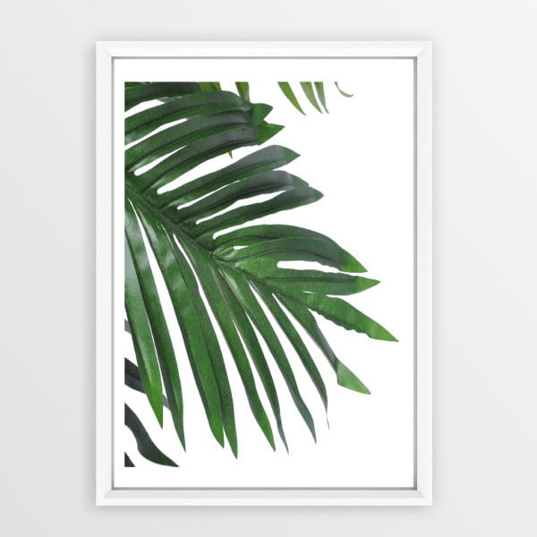 Plakāts rāmī Piacenza Art Palm, 30 x 20 cm