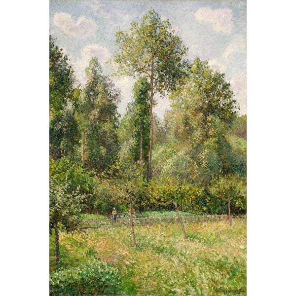 Gleznas reprodukcija Camille Pissarro - Poplars Éragny, 60 x 80 cm