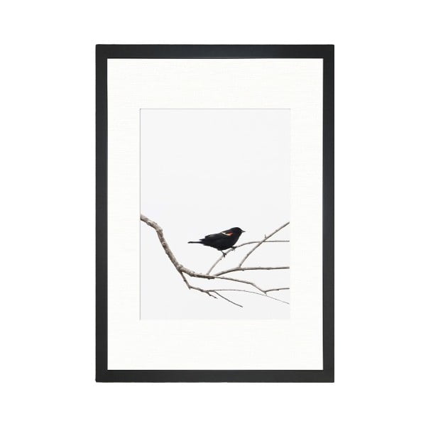 Bilde Tablo Center Birdy, 24 x 29 cm